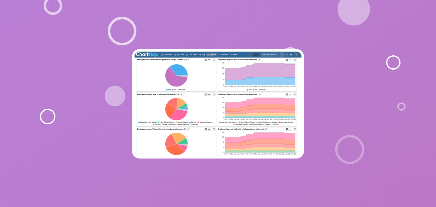 Drive a comprehensive Diversity, Equity and Inclusion strategy with centralized demographic data